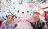 Hello Kitty @ Sydney Cherry Blossom Festival